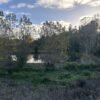 SE VENDE HERMOSA PARCELA EN FUNDO SAN ANTONIO, LA UNIÓN