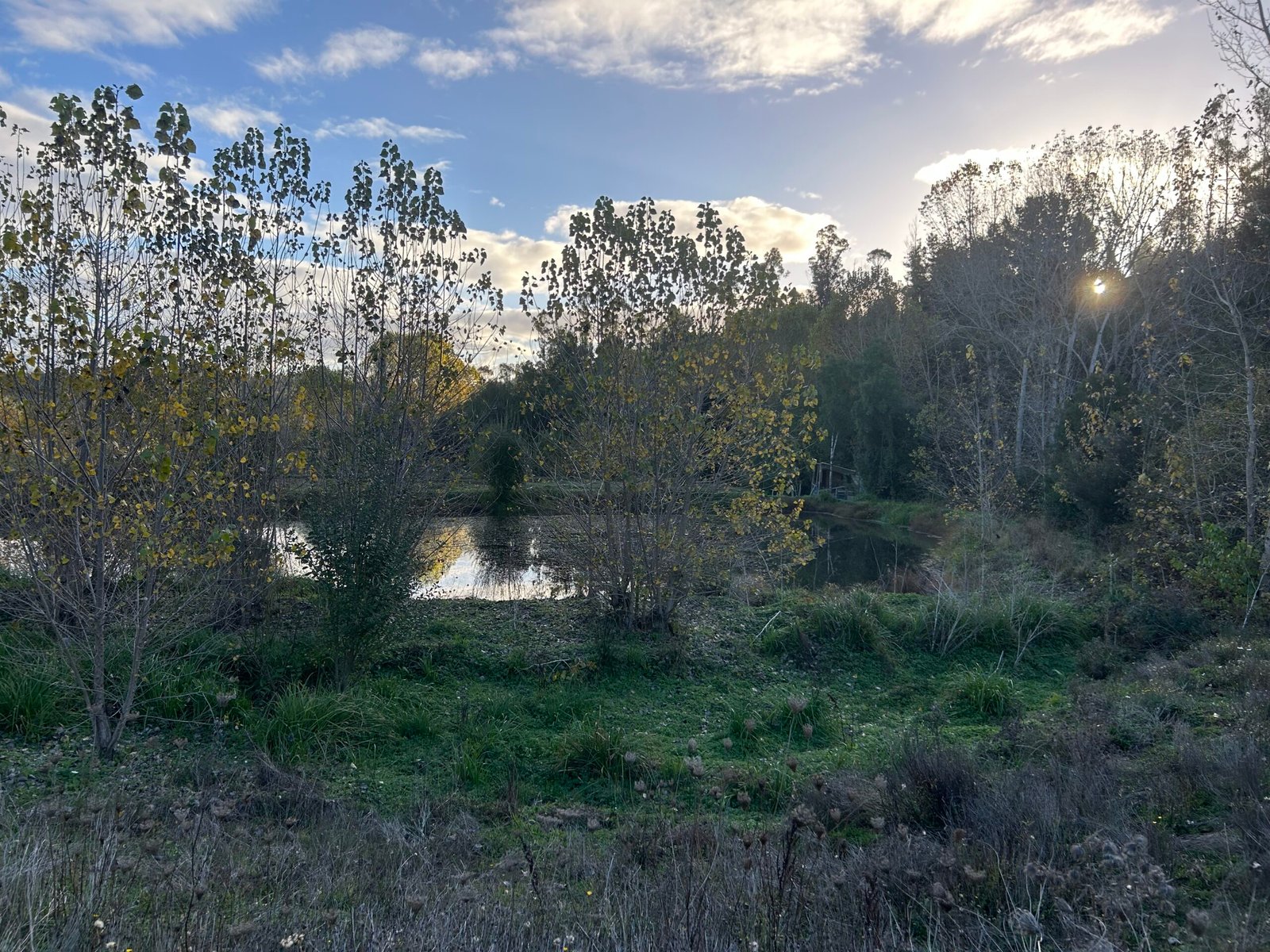 SE VENDE HERMOSA PARCELA EN FUNDO SAN ANTONIO, LA UNIÓN