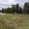 8 (1) SE VENDE PARCELA ,SECTOR TRUMAO, LA UNIÓN
