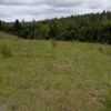 9 (1) SE VENDE PARCELA ,SECTOR TRUMAO, LA UNIÓN