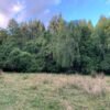 IMG-20250219-WA0006 SE VENDE CAMPO DE 16.58 HECTAREAS, LA UNIÓN