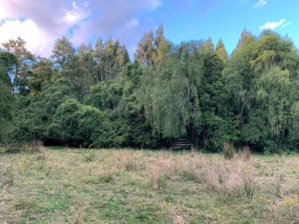 IMG-20250219-WA0006 SE VENDE CAMPO DE 16.58 HECTAREAS, LA UNIÓN