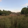 IMG-20250219-WA0007 SE VENDE CAMPO DE 16.58 HECTAREAS, LA UNIÓN
