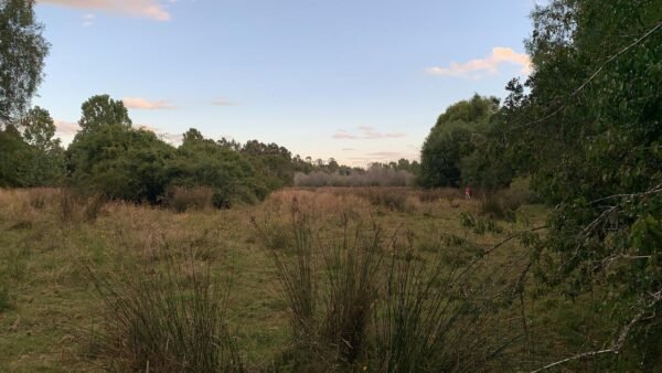 IMG-20250219-WA0007 SE VENDE CAMPO DE 16.58 HECTAREAS, LA UNIÓN