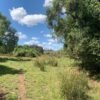 IMG-20250219-WA0016 (1) SE VENDE CAMPO DE 16.58 HECTAREAS, LA UNIÓN