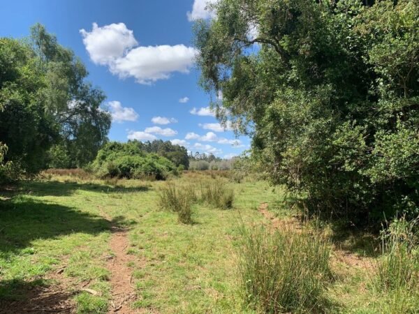IMG-20250219-WA0016 (1) SE VENDE CAMPO DE 16.58 HECTAREAS, LA UNIÓN