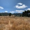 IMG-20250219-WA0021 SE VENDE CAMPO DE 16.58 HECTAREAS, LA UNIÓN