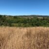IMG-20250219-WA0022 SE VENDE CAMPO DE 16.58 HECTAREAS, LA UNIÓN
