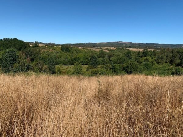 IMG-20250219-WA0022 SE VENDE CAMPO DE 16.58 HECTAREAS, LA UNIÓN