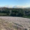 IMG-20250219-WA0023 SE VENDE CAMPO DE 16.58 HECTAREAS, LA UNIÓN
