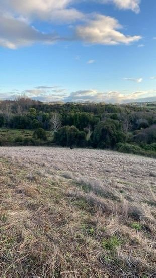 IMG-20250219-WA0023 SE VENDE CAMPO DE 16.58 HECTAREAS, LA UNIÓN