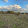 IMG-20250219-WA0025 SE VENDE CAMPO DE 16.58 HECTAREAS, LA UNIÓN