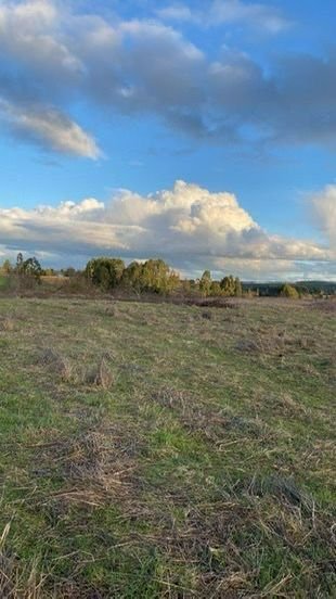 IMG-20250219-WA0025 SE VENDE CAMPO DE 16.58 HECTAREAS, LA UNIÓN