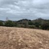 IMG-20250219-WA0026 SE VENDE CAMPO DE 16.58 HECTAREAS, LA UNIÓN