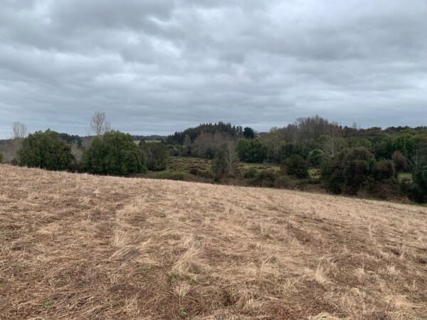 IMG-20250219-WA0026 SE VENDE CAMPO DE 16.58 HECTAREAS, LA UNIÓN