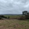 IMG-20250219-WA0028 SE VENDE CAMPO DE 16.58 HECTAREAS, LA UNIÓN