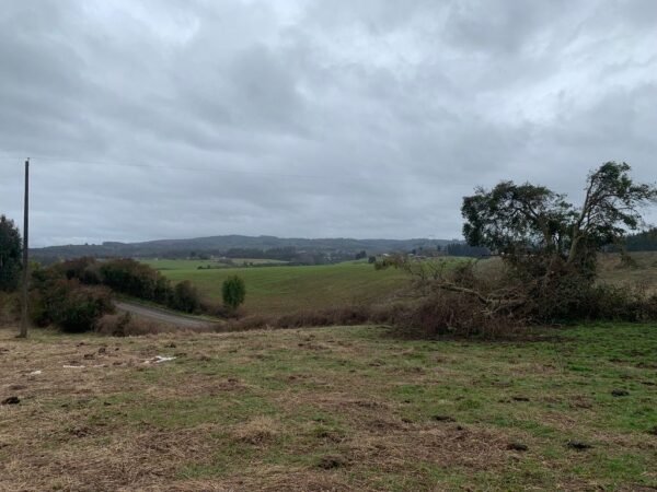 IMG-20250219-WA0028 SE VENDE CAMPO DE 16.58 HECTAREAS, LA UNIÓN