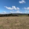 IMG-20250219-WA0029 SE VENDE CAMPO DE 16.58 HECTAREAS, LA UNIÓN