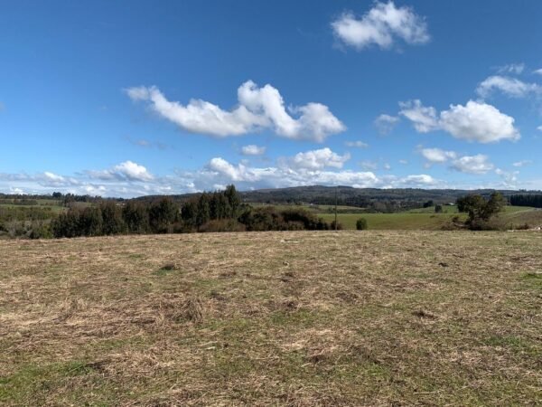 IMG-20250219-WA0029 SE VENDE CAMPO DE 16.58 HECTAREAS, LA UNIÓN