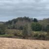 IMG-20250219-WA0030 SE VENDE CAMPO DE 16.58 HECTAREAS, LA UNIÓN