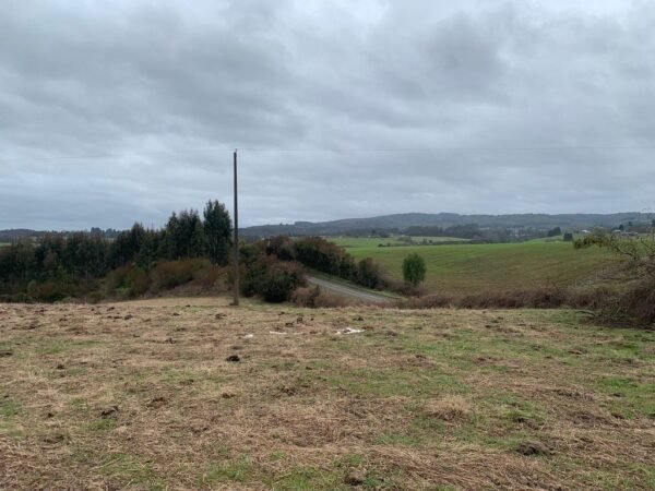 IMG-20250219-WA0031 SE VENDE CAMPO DE 16.58 HECTAREAS, LA UNIÓN