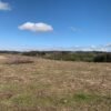 IMG-20250219-WA0032 SE VENDE CAMPO DE 16.58 HECTAREAS, LA UNIÓN