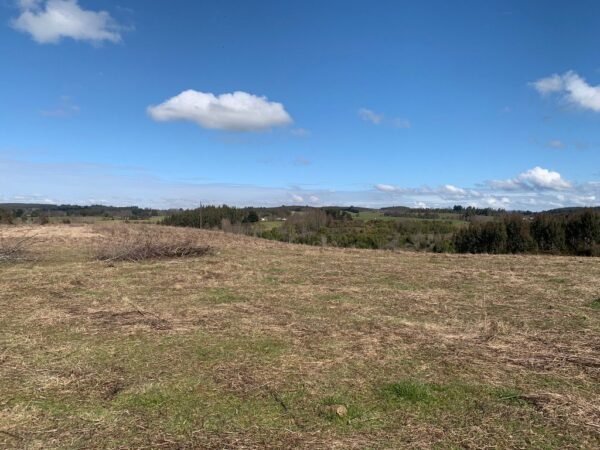 IMG-20250219-WA0032 SE VENDE CAMPO DE 16.58 HECTAREAS, LA UNIÓN