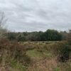 IMG-20250219-WA0033 SE VENDE CAMPO DE 16.58 HECTAREAS, LA UNIÓN