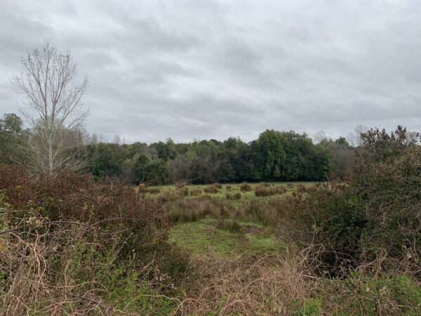 IMG-20250219-WA0033 SE VENDE CAMPO DE 16.58 HECTAREAS, LA UNIÓN